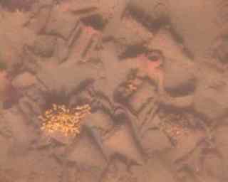 One of several thousand images of the Classical wreck, from the camera on the SeaBED autonomous underwater vehicle. (Chios Shipwreck Survey 2005 - WHOI, Hellenic Ministry of Culture: Ephorate of Underwater Antiquities, Hellenic Centre for Marine Research) 