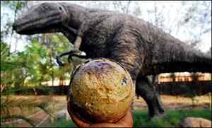 Gujarat is sometimes called the 'Jurassic Park of India'