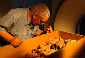 Dr. Hawass inspects the KV55 mummy before its CT scan.