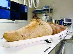 CT scan of 2000 year old mummified crocodile