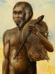 Hobbit: small of stature but a huge scientific find