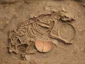 2000-year-old dog burial excavated in Ban Non Wat earlier in the year
