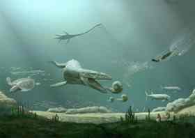 Cretaceous marine environment. (Illustrated by Karen Carr)