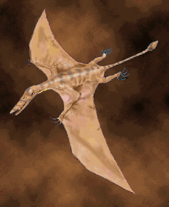 Pterosaur