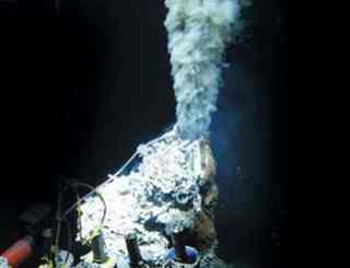 Providing a perfect setting for life to replicate 