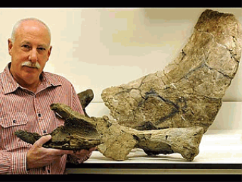Dr. Robert M. Sullivan shows off the new Dinosaur fossil