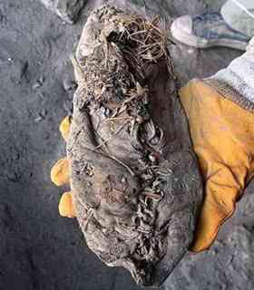 The perfectly preserved 5,500-year-old shoe that was discovered in a cave in Armenia by a team of researchers led by Dr Ron Pinhasi of University College, Cork.