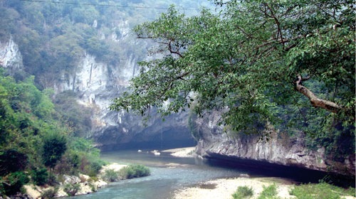 [images1979921_1[5].jpg]