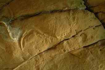 An Ibis like Bird engraving found in Church Hole. Photo Allan Bull, English Heritage