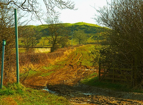 [3813840877_22f5baa3ab[5].jpg]