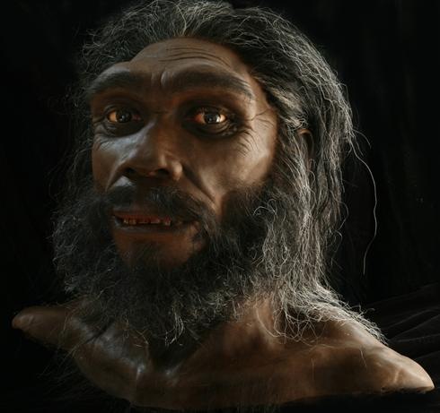 [heidelbergensisx-large[5].jpg]