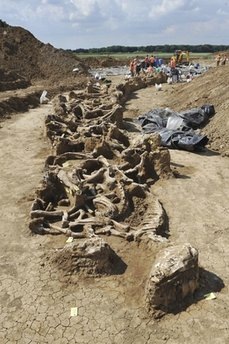 [capt.b59a58f38fc74942803994041affce8e-b59a58f38fc74942803994041affce8e-0[5].jpg]