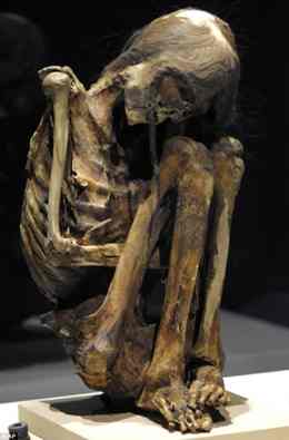 An adult male mummy from the Pre-Columbian Atacama Desert in present-day Chile