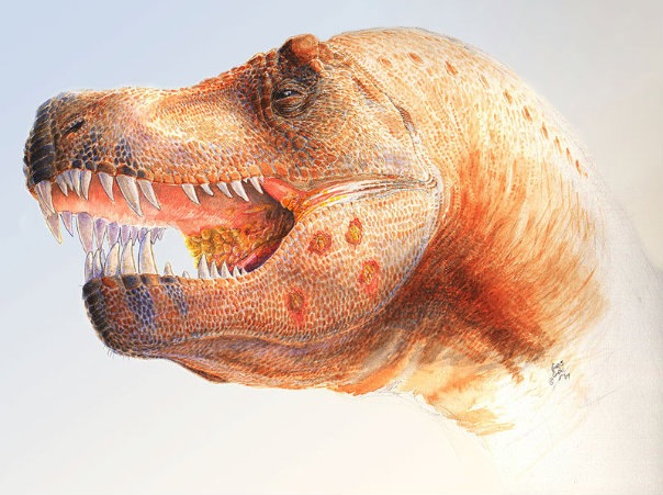 [17 800px-Tyrannosaurus_with_infection_slideshow_604x500[5].jpg]