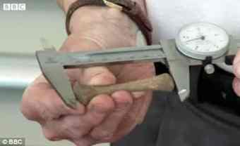 A team plans to carry out DNA tests on the skeletons to establish how old they were and if they were related