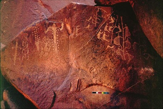 [r596715_3854984[5].jpg]