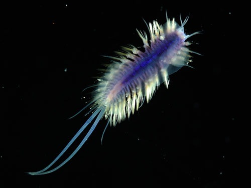 [00393429ff0[5].jpg]