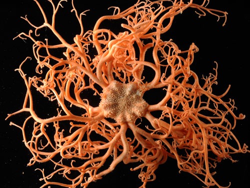 [0039304c07b[5].jpg]