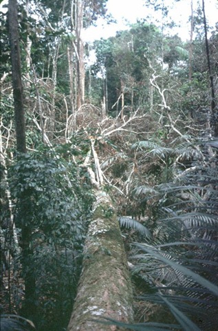 [6a00d8341bf67c53ef0133f23bfb2f970b-800wi[5].jpg]