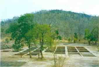 View of the excavations at Pachrahi