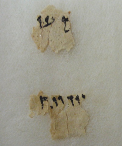 [scroll-zoom[6].jpg]