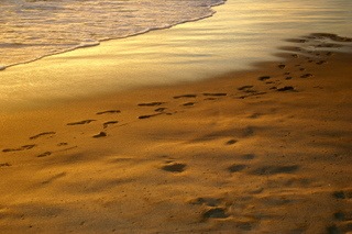 [6a00d8341bf67c53ef0133f27691e9970b-500pi[5].jpg]