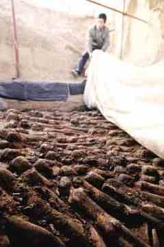 he Han Dynasty naked terra-cotta figures in situ