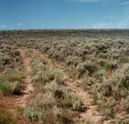 [jeep_trail2[5].jpg]