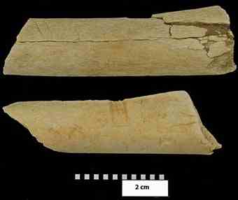 The two stone tool modified bones from Dikika, Ethiopia