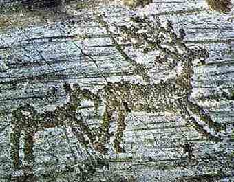 Deer hit by a spear and bitten by a dog on Naquane rock n. 1 (Iron Age)
