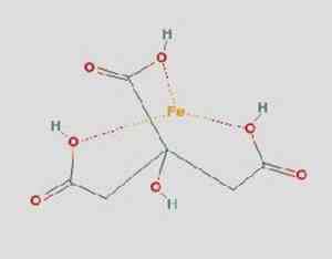 Ferric citrate is a structure formed from the transition metal iron and citrate, a compound produced by plants, algae, and many bacteria. Morowitz and his colleagues propose that structures like this could have catalyzed the formation of molecular building blocks, leading ultimately to the formation of complex molecules essential for the origin of life. 