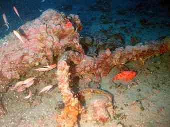 A cannon from the shipwreck of a vessel, likely British, recently discovered near Turkey. RPM Nautical Foundation
