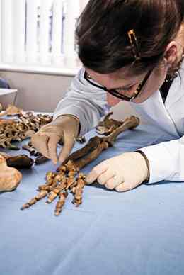 A forensic expert examines a skeleton from the Dorset site.