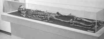 Bones likely belonging to Alexander the Great's father or half-brother.