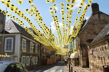 [lascaux-yellow-flowers-thumb-425x283[5].jpg]