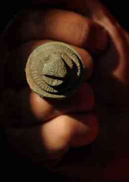 INTRICATE: One of the finds depicting a lion's head 