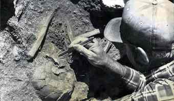 Texas Highway Department archaeological worker Bob Stiba removes dirt from around the teeth of the 'Leanderthal Lady,' who was discovered near Leander on Jan. 6, 1983. 