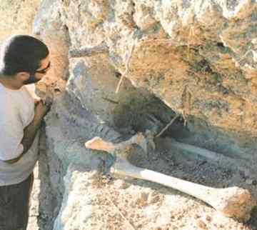 The intact skeleton was found at Curium in the southwest of the Mediterranean island renowned for its links to the ancient world. 