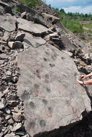 [ALeqM5ic_wGpfsFZINkM6214IGOVrXQ03w[5].jpg]