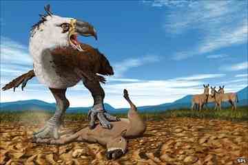 Terror Birds may have made it across the isthmus earlier than previously thought