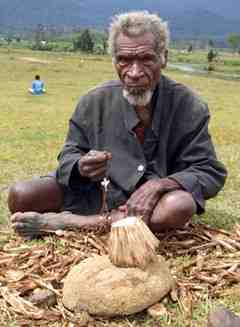 Ivane Valley resident, Paul Lamui, demonstrates how to use rocks to crack pandanus nuts open - the same method used 49,000 years ago according to excavation evidence in the Ivane Valley of PNG. (Photo: Andrew Fairbairn)