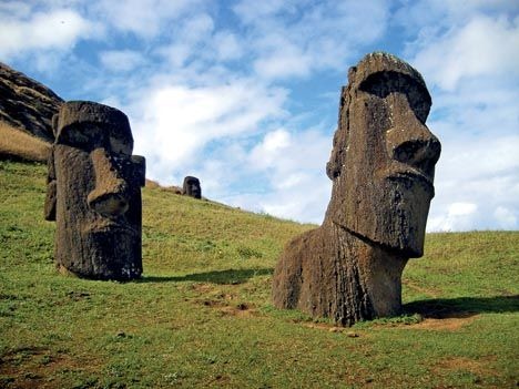 [easter-island-fungus[5].jpg]