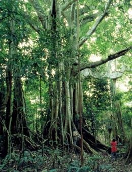 [_tmp_articling-import-20090114102747862480_457246a-i2.0[5].jpg]