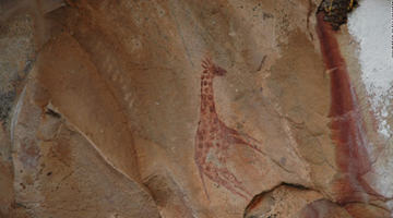 This rock art of a giraffe is said to be painted by the San people who occupied the area  from 10,000 years ago.