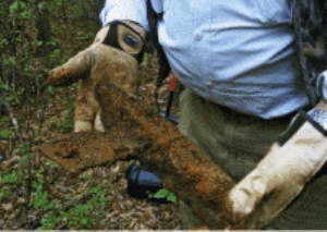 "This is a very exciting find," recounted Bruce Lockett, director of the Texas Archaeology Study Association (TASA) and president of the Vidor Historical Society, referring to a wreck site discovered by the group months ago.