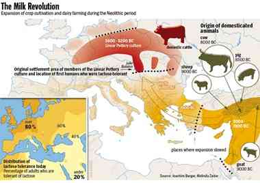 Graphic: Expansion of crop cultivation and dairy farming during the Neolithic period 