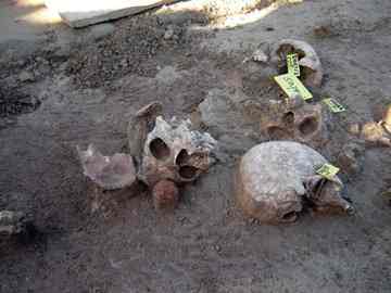 Gruesome finds -- most of the skulls were found together grouped in so-called nests. The other bones were jumbled together in no apparent order. 