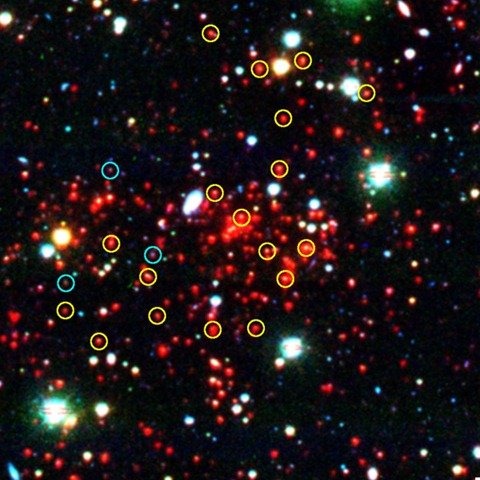 [galaxy-cluster-zoom[5].jpg]