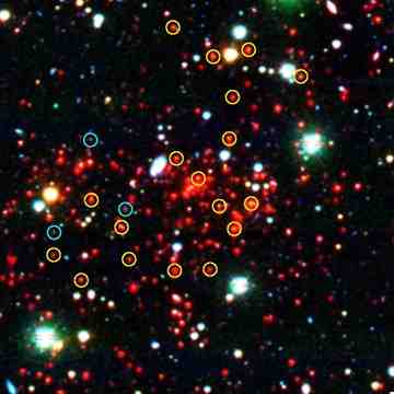 A massive galaxy cluster located 7 billion light-years from Earth. This cluster weighs as much as 800 trillion suns. Galaxies with "old" stellar populations, are circled in yellow; galaxies with "young" stellar populations, are circled in blue. 