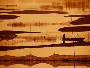 Poyang Lake, bird sanctuary